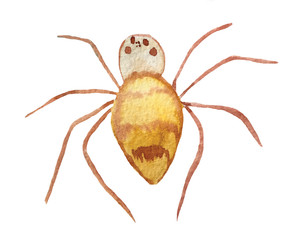 brown spider on a white background. watercolor illustration for decoration and design of cards, posters, games and books.