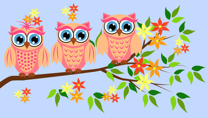 Cute girl owls. Baby showers, parties for baby girls.