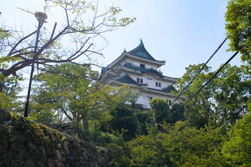 Naklejka premium 和歌山城