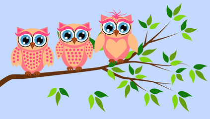 Cute girl owls. Baby showers, parties for baby girls.