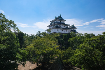 Naklejka premium 和歌山城