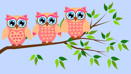 Fototapeta premium Cute girl owls. Baby showers, parties for baby girls.