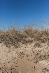 Mountains of yellow sand on the coastline on blue sky background. Beautiful landscape