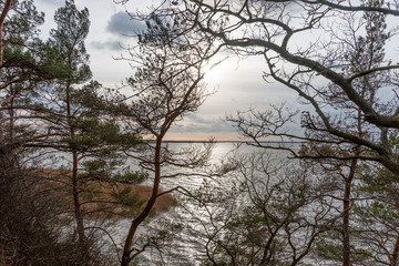 Looking through the trees at the lake in spring