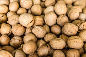 closeup of walnuts background. big handful of nuts.