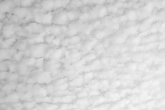 White clouds texture background