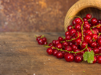 Fresh red currant / Top view red ripe currants fruit and green leaf on dark background