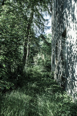 Harmonie aller Dinge ohne Mensch