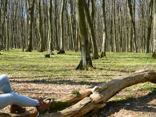 Rest on a natural bench in the forest.