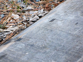 board against a leaf