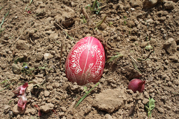 Burying the Old Easter egg in the first furrow of the earth. Old Slavic pagan fertility ceremony