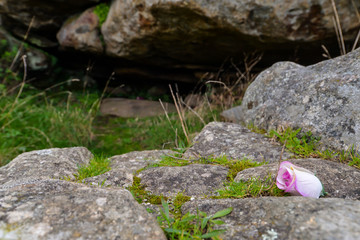 Fototapeta premium The Saints Bed in the hermitage
