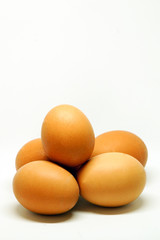 Chicken Egg on white isolated background close up view