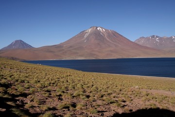 Fototapeta premium View on deep blue lake at Altiplanic Laguna (Lagoon) Miscanti in Atacama desert with partly snow capped cone of volcano Meniques in the background - Chile