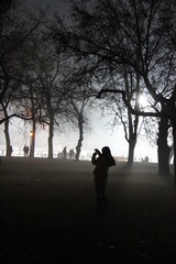 Budapest Mist