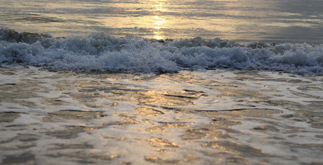 Bubbles from the waves that are impacting on the sea beach in the morning, the golden light from the sun Reflecting the sea surface