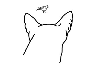 Obraz premium Cat and Bird