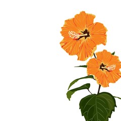 Tropical exotic orange hibiscus flower branch, elegant card template. Small floral garland.