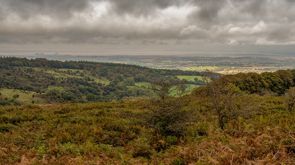 Quantock Hills landscape near West Bagborough, Somerset, England, UK