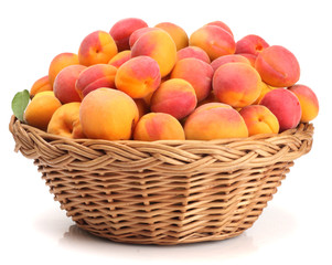 Apricots in a basket isolated on white