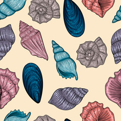 Seamless pattern of seashells, vector
