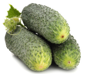 Green cucumbers isolated on white background
