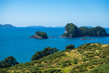 Chathdral cove, Coromandel, New Zealand North Island travelling destination in a beautiful day.