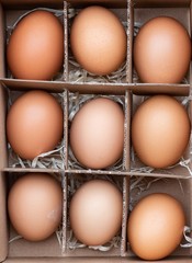 Raw organic chicken eggs