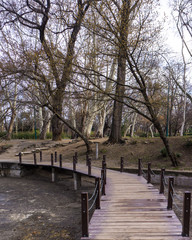Small bridge over river in forest in vajdahunyad budapest