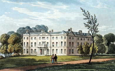 Naklejka premium House in the park