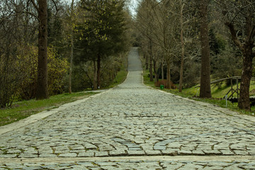 road in forest in spring  colored flowers stone way 