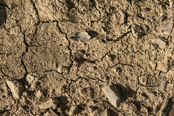 dry earth, texture, background