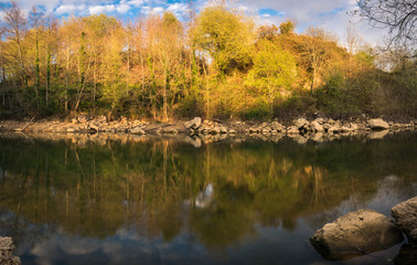 reflection of trees in a lake, la arboleda, basque country