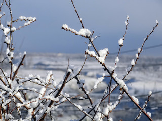 Last snowfall