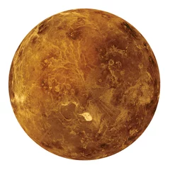 Foto op Canvas Volledige schijf van Venus globe planeet vanuit de ruimte geïsoleerd op een witte achtergrond. Elementen van deze afbeelding geleverd door NASA. © elen31