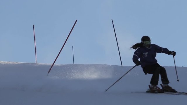 Downhill Salom Ski Racer Gates - 4 Clips