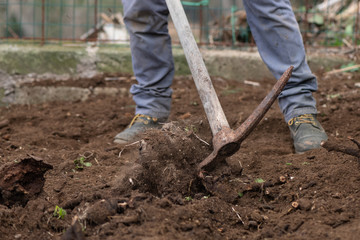Preparing the soil for the vegetable garden