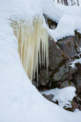 Icicles hanging over rock in the forest