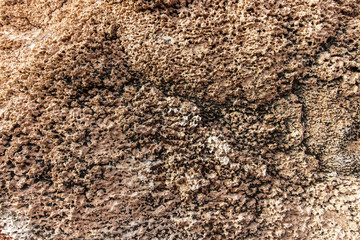 Close-up view of the salt flats in Salar de Uyuni, Bolivia