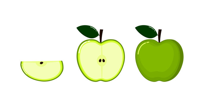green apple and slices. fruits for healthy lifestyle isolated on white background of vector illustrations. Fresh icon cartoon. 
