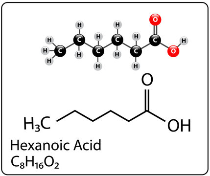 Hexanoic Acid Molecule Structure
