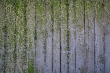Graue, Cement- Beton- Steinwand mit grünem Moosartigen Strukturen. Hintergrund, Textur, Tapete , Gestalterisch, Abstrakt, Tafel, Wand 