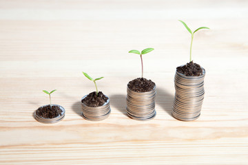 Fototapeta na wymiar Idea money growing concept. Business success concept. Trees growing on pile of coins money 