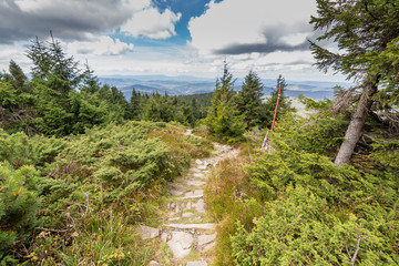 Hiking mountain trail through forested peaks, Beskid Mountains in Poland wide angle landscape
