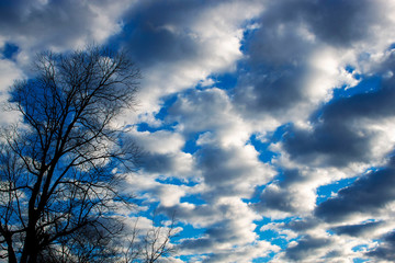 blue sky and white clouds