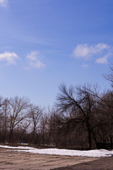 winter landscape with trees and blue sky