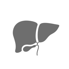 Liver vector icon