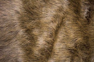 Textura de alfombra de pelo