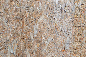 The texture of the wall of extruded sawdust
