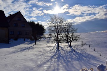 Idyllic snow landscape